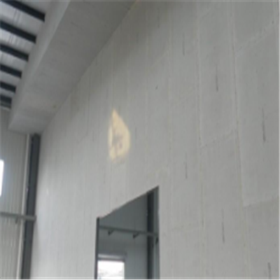 滕州新型建筑材料掺多种工业废渣的ALC|ACC|FPS模块板材轻质隔墙板
